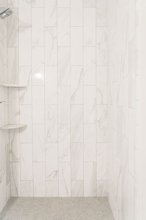 217 West 9th Street, Unit 1 Boston, MA 02127 - Photo 9 of 14 a bathroom with a white shower
