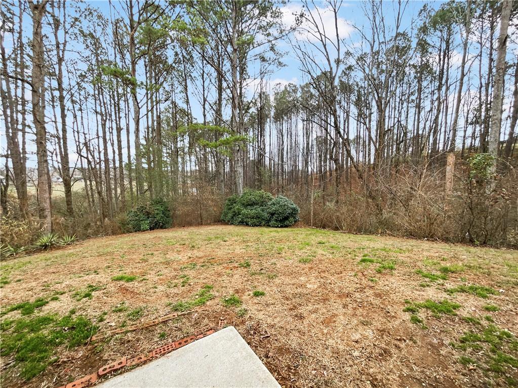 185 Thrasher Lane Jasper, GA 30143 - Photo 32 of 32 a pathway of a yard