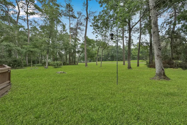 a view of a park with large trees