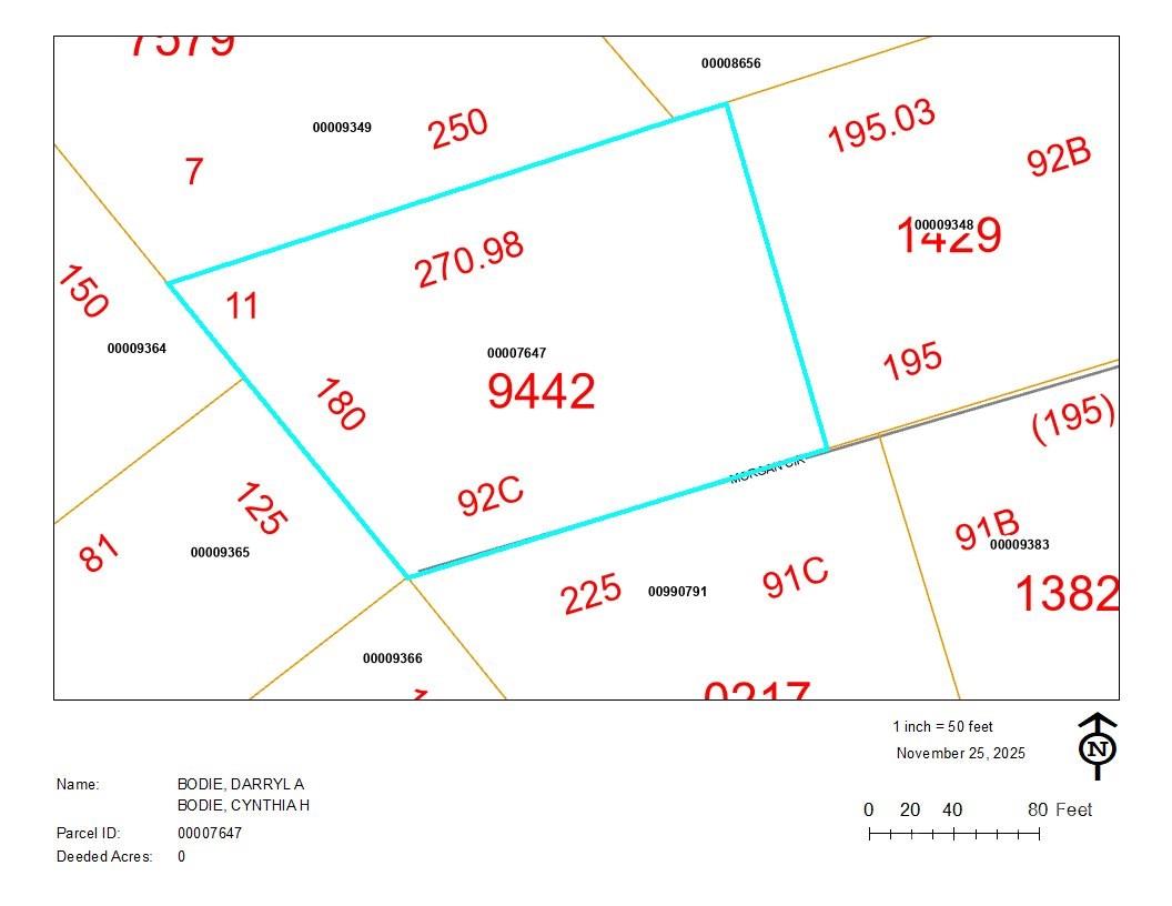 0 Morgan Street Carthage, NC 28327 - Photo 2 of 2