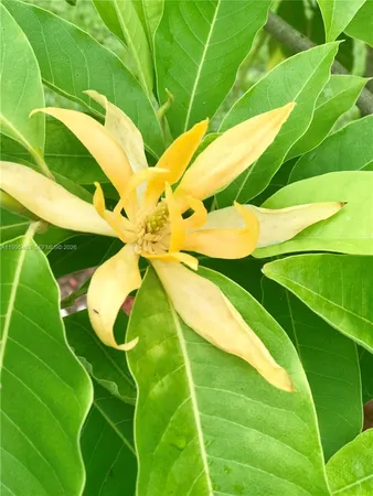 $8,200 | 2481 Eagle Watch Court, Weston, FL 33327