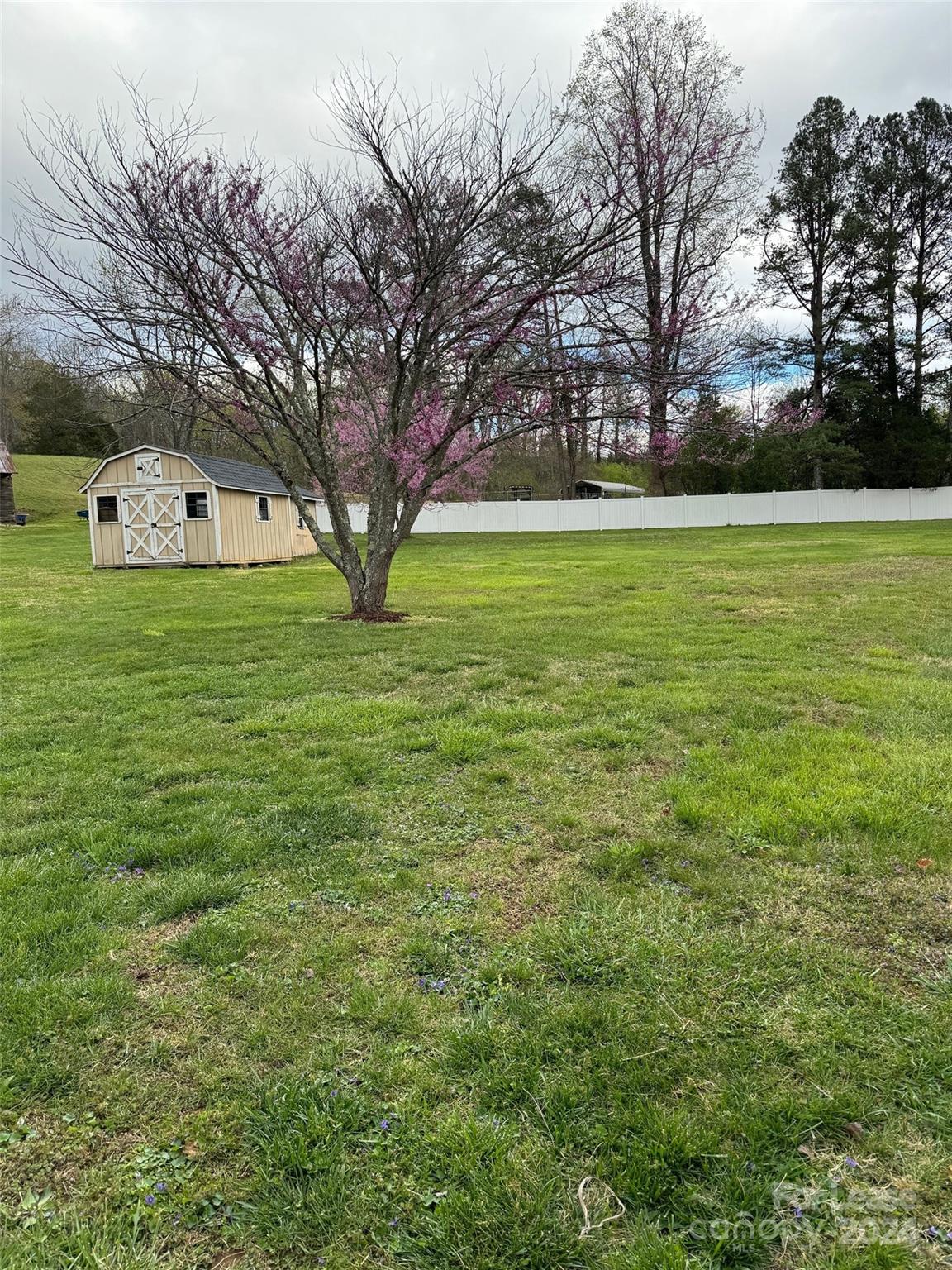 2793 Highway 268 Lenoir, NC 28645 - Photo 24 of 29 a big yard with lots of green space and trees