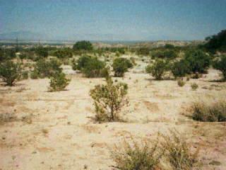 0 South Sabin Street St. David, AZ 85630 - Photo 1 of 1