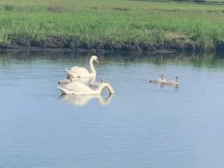 $895,000 | 68 Grouse Lane, West Yarmouth, MA 02673