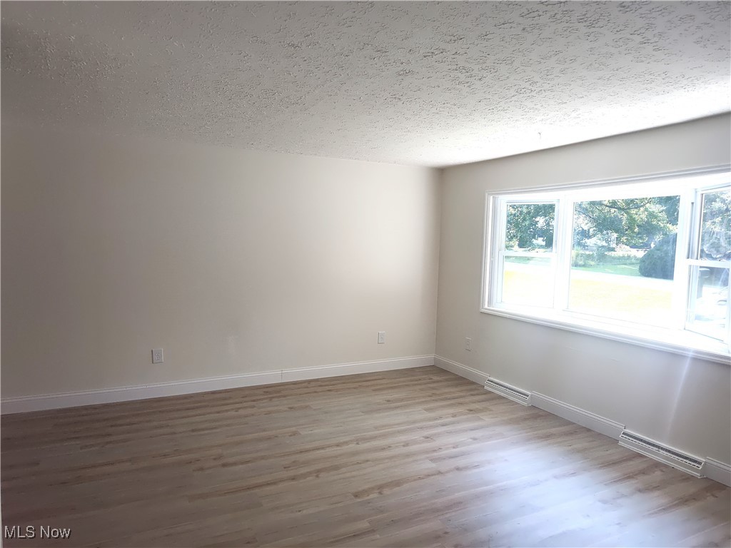8016 Ninevah Road Geneva, OH 44041 - Photo 17 of 45 Empty room with light wood-style floors and a textured ceiling
