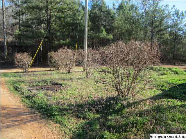 215 Craft Road Talladega, AL 35160 - Photo 14 of 18