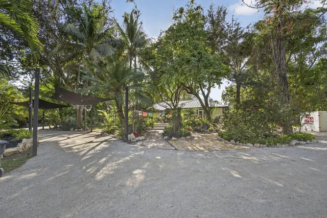 a view of a park with large trees