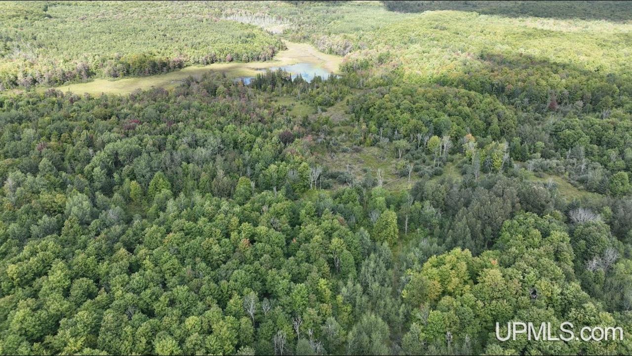 E12696 H-58 Road Shingleton, MI 49884 - Photo 5 of 12