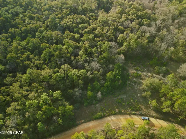 $130,000 | 0 Creek Run Road, Vernon, FL 32462