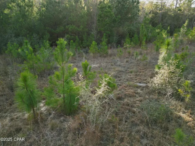 $130,000 | 0 Creek Run Road, Vernon, FL 32462