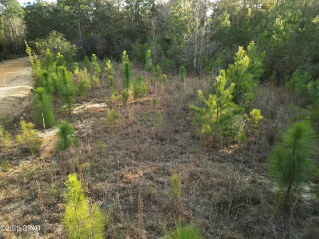 $130,000 | 0 Creek Run Road, Vernon, FL 32462