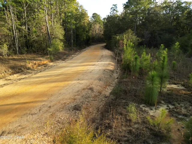 $130,000 | 0 Creek Run Road, Vernon, FL 32462