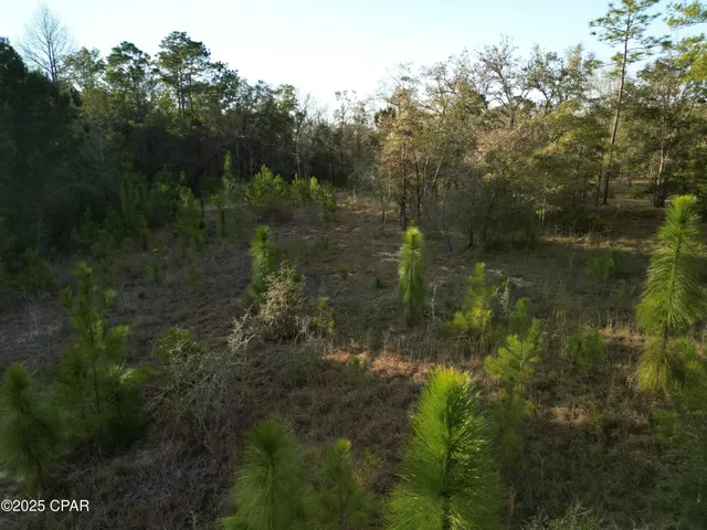 $130,000 | 0 Creek Run Road, Vernon, FL 32462