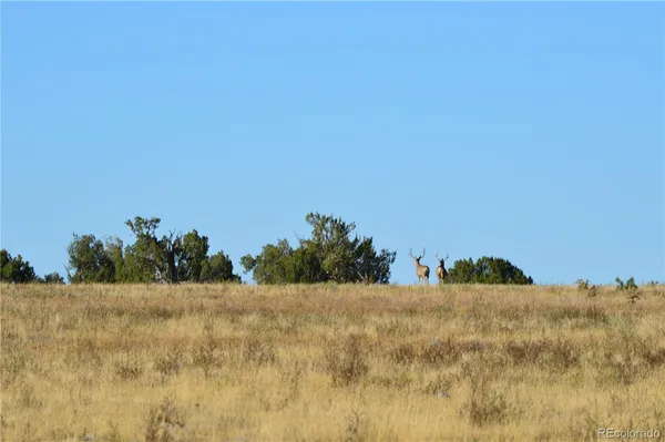 $1,650,000 | 0 County Road 94, Model, CO 81059