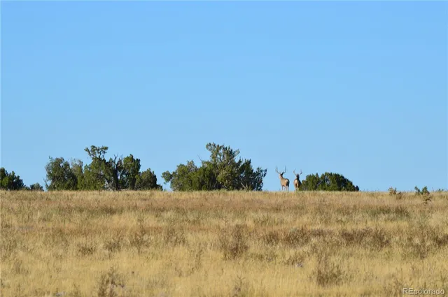 $1,650,000 | 0 County Road 94, Model, CO 81059