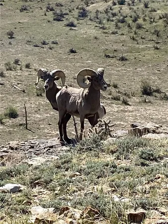 $1,650,000 | 0 County Road 94, Model, CO 81059