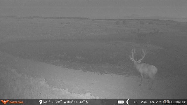 0 County Road 94 Model, CO 81059 - Photo 18 of 41