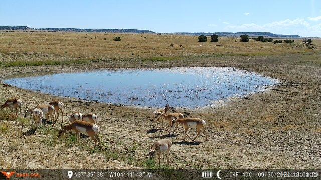 0 County Road 94 Model, CO 81059 - Photo 19 of 41