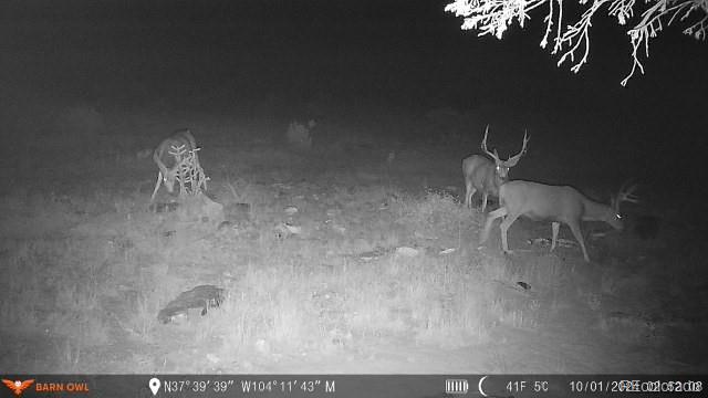 0 County Road 94 Model, CO 81059 - Photo 20 of 41