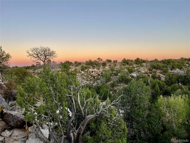 $1,650,000 | 0 County Road 94, Model, CO 81059