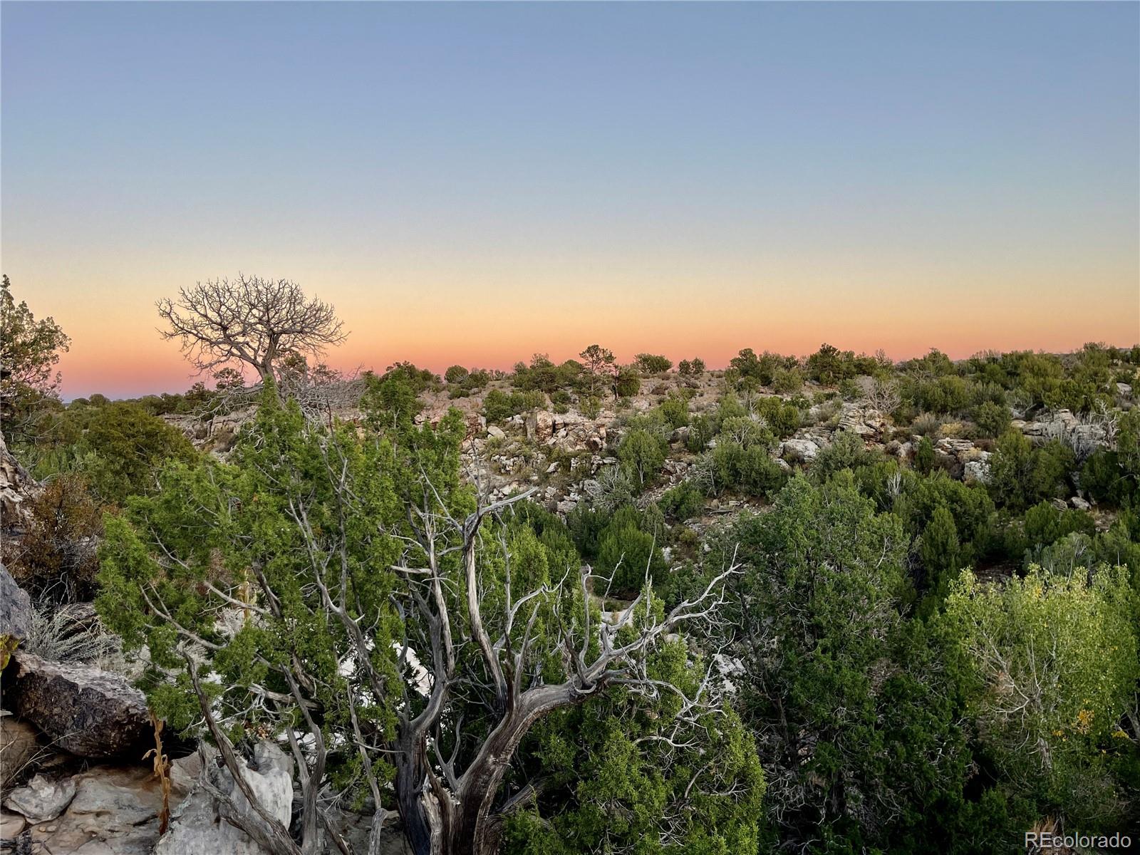 0 County Road 94 Model, CO 81059 - Photo 26 of 41