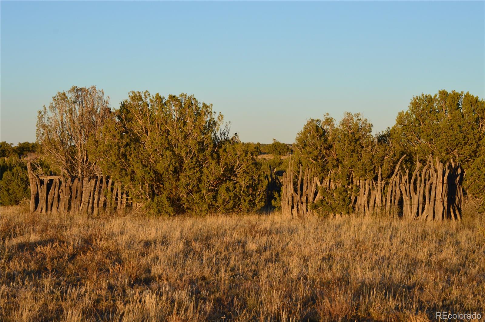 0 County Road 94 Model, CO 81059 - Photo 29 of 41