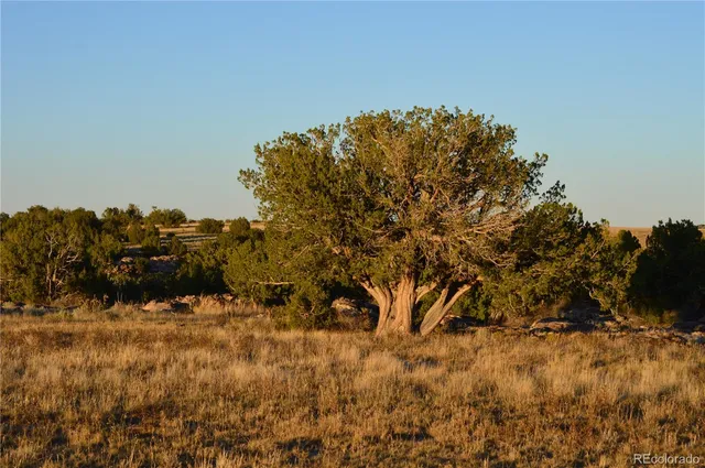 $1,650,000 | 0 County Road 94, Model, CO 81059