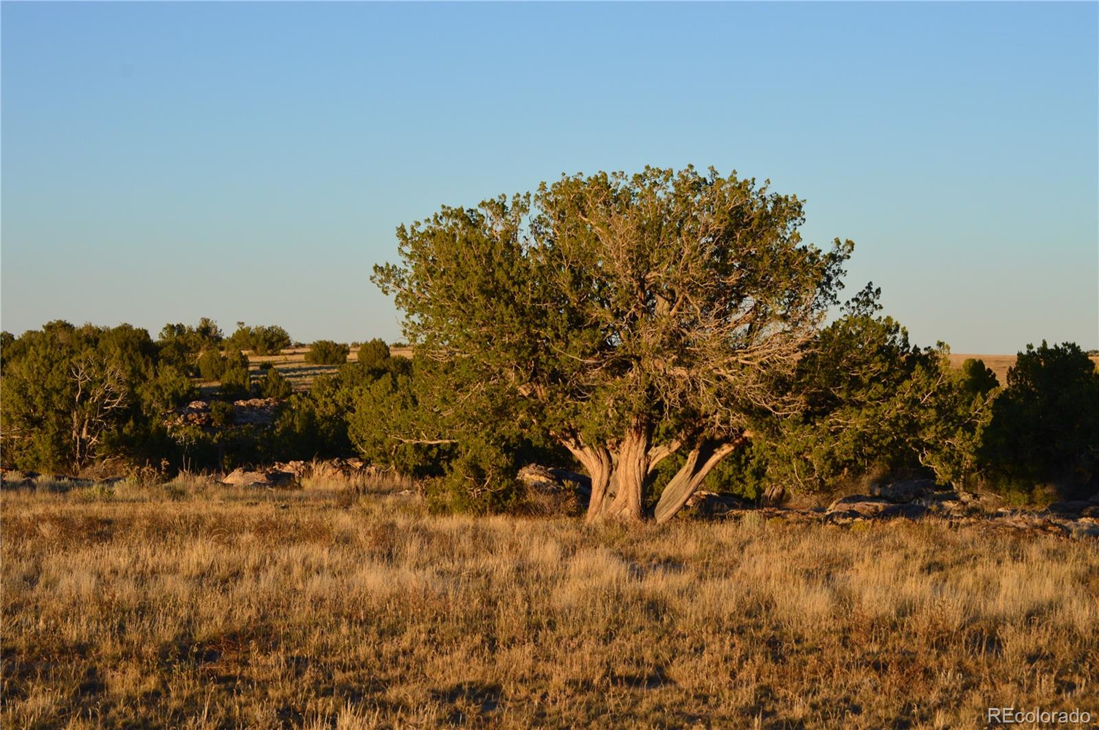 0 County Road 94 Model, CO 81059 - Photo 32 of 41