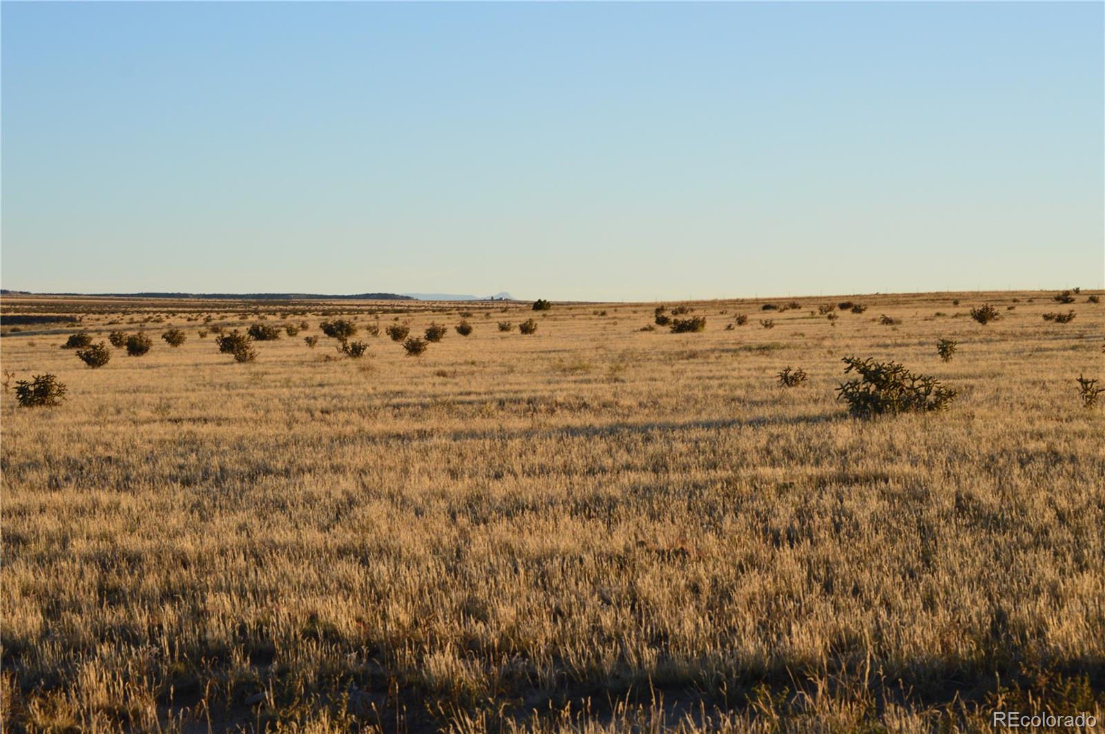 0 County Road 94 Model, CO 81059 - Photo 34 of 41