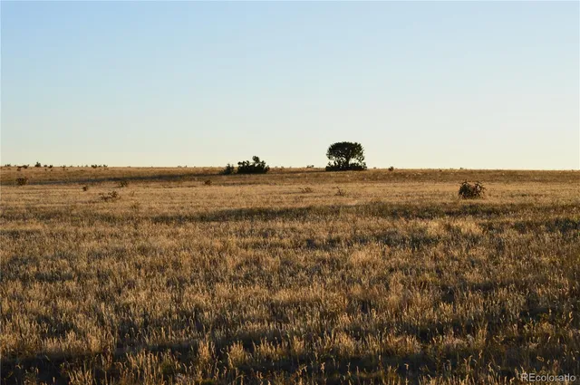 $1,650,000 | 0 County Road 94, Model, CO 81059