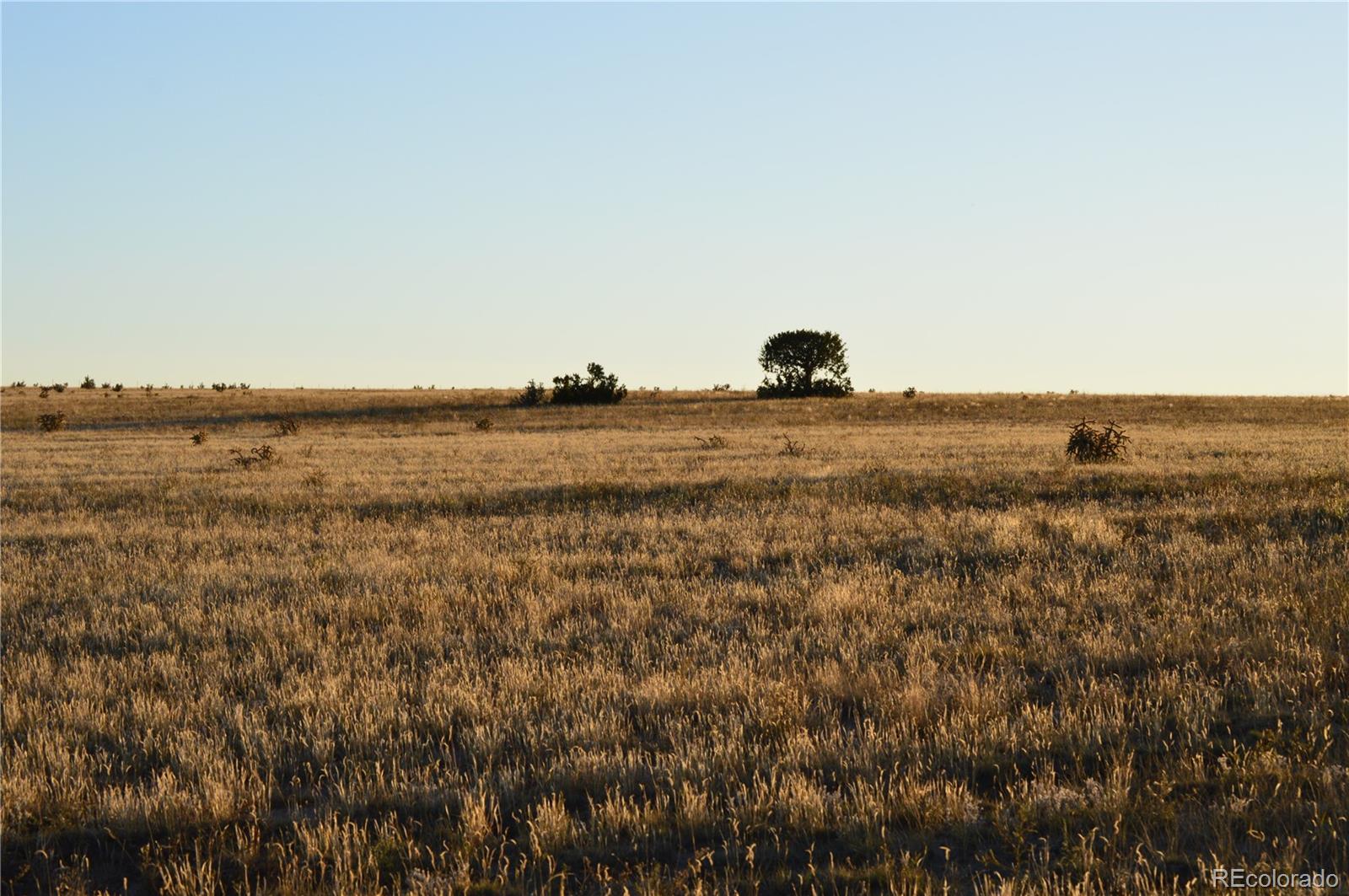 0 County Road 94 Model, CO 81059 - Photo 35 of 41