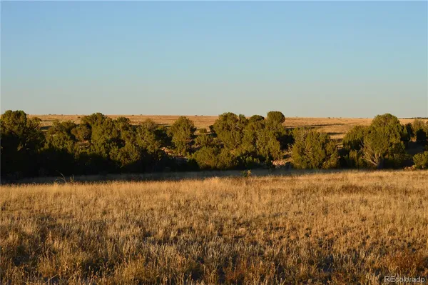 $1,650,000 | 0 County Road 94, Model, CO 81059