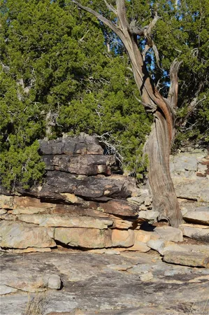 $1,650,000 | 0 County Road 94, Model, CO 81059