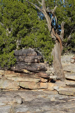 $1,650,000 | 0 County Road 94, Model, CO 81059