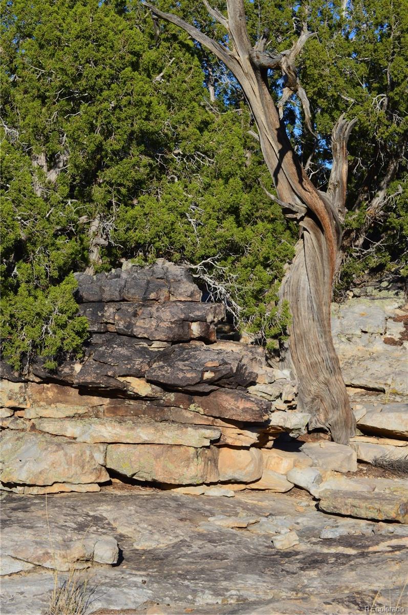 0 County Road 94 Model, CO 81059 - Photo 38 of 41