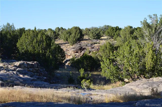 $1,650,000 | 0 County Road 94, Model, CO 81059