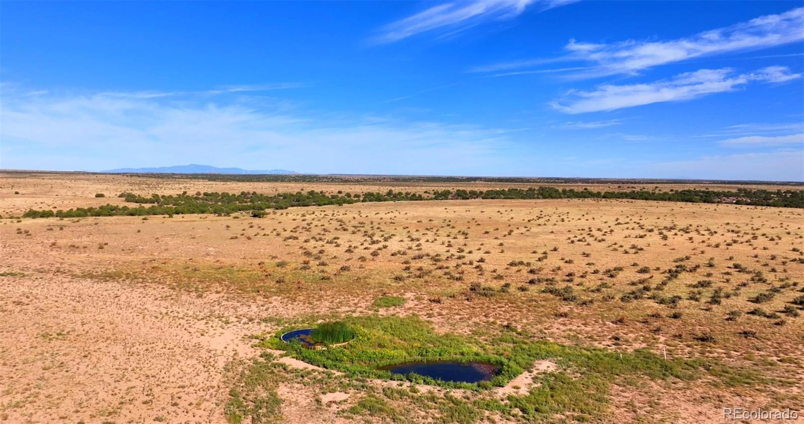 0 County Road 94 Model, CO 81059 - Photo 9 of 41