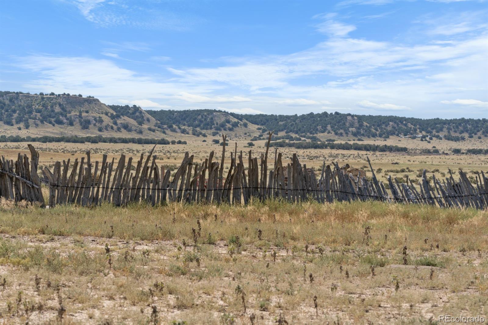 0 County Road 94 Model, CO 81059 - Photo 10 of 41