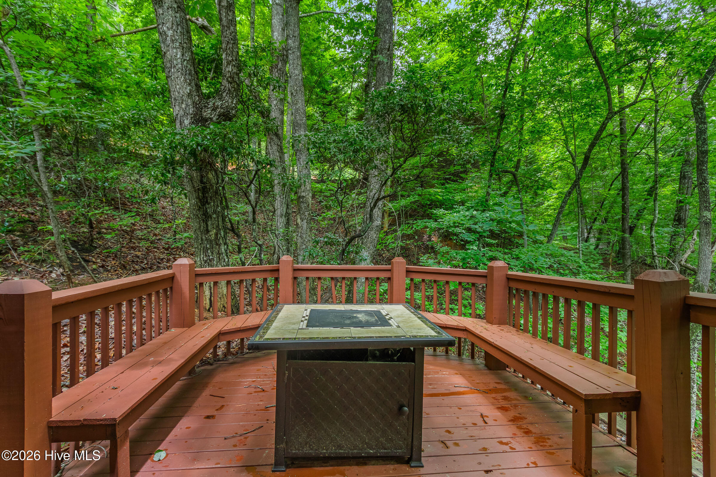 310 Ringtail Run Murphy, NC 28906 - Photo 51 of 64
