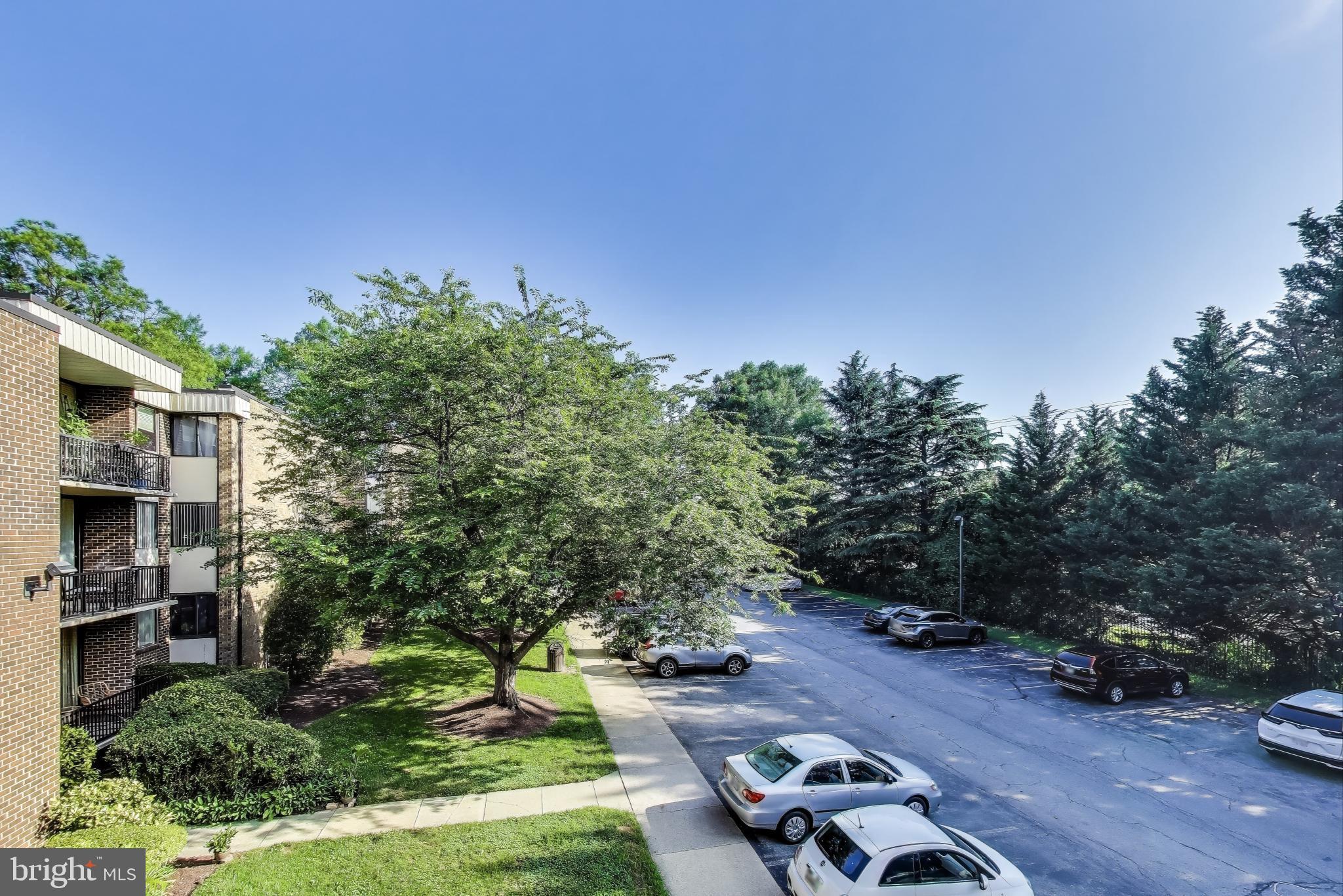 9820 Georgia Avenue, Unit 301 Silver Spring, MD 20902 - Photo 18 of 19