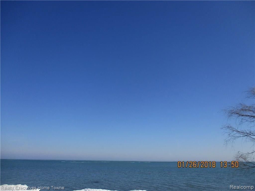 IMG_3699.JPG