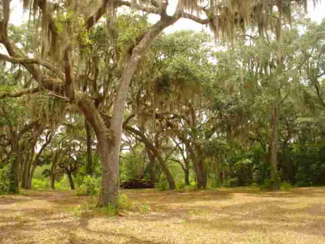 2257 St Thomas Church Road, Unit MADISON Madison, FL 32340 - Photo 17 of 17