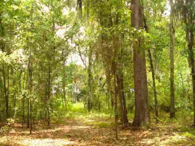2257 St Thomas Church Road, Unit MADISON Madison, FL 32340 - Photo 8 of 17