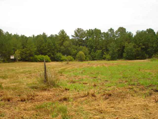 2257 St Thomas Church Road, Unit MADISON Madison, FL 32340 - Photo 10 of 17