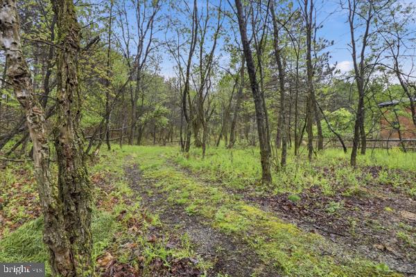 276 Turner Road Morrisdale, PA 16858 - Photo 13 of 50 Land