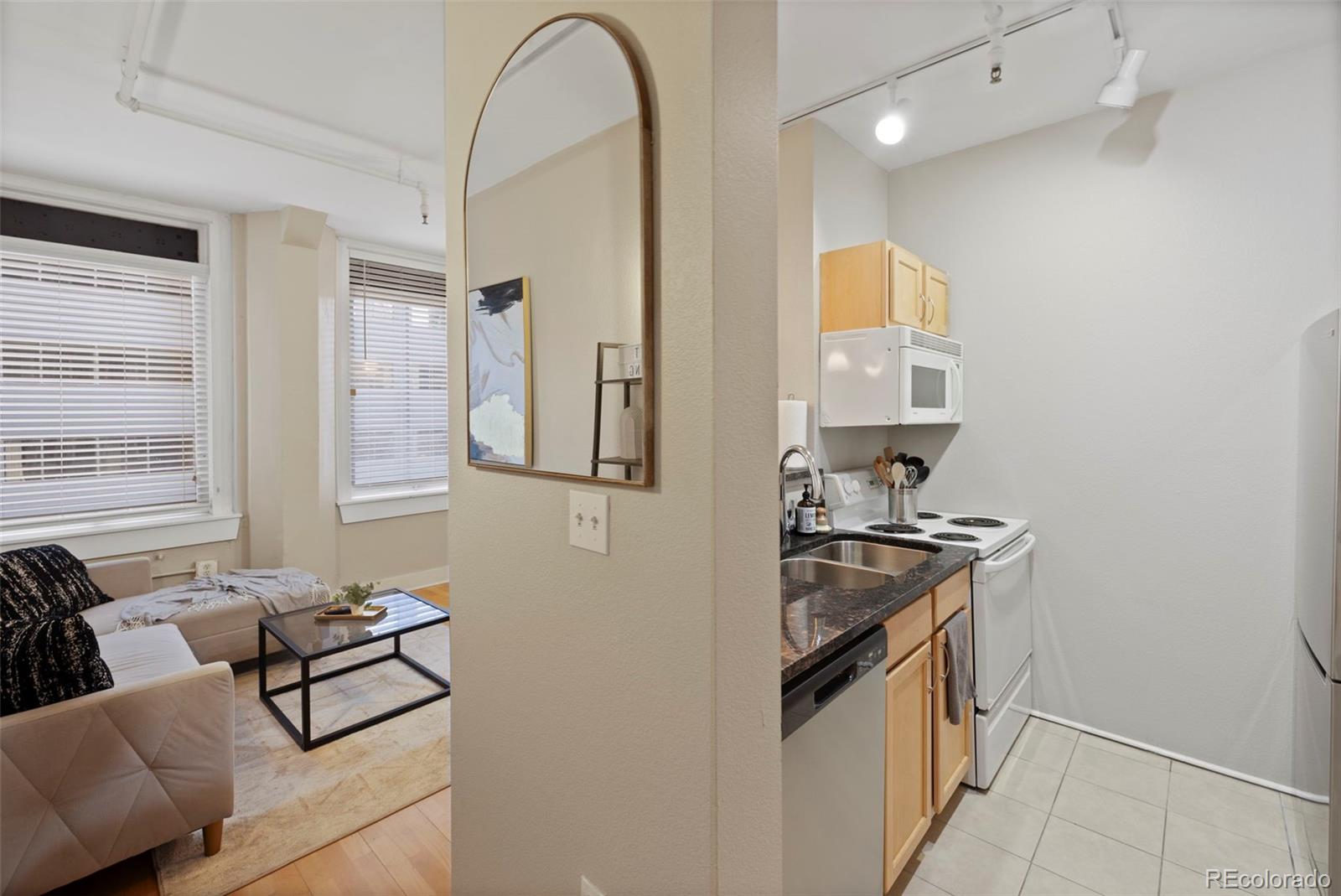 444 17th Street, Unit 709 Denver, CO 80202 - Photo 4 of 28