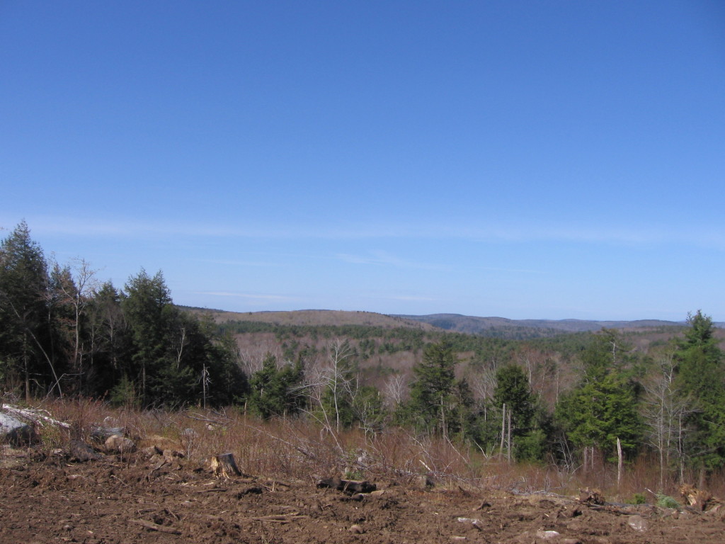 0 Clubhouse Road Tolland, MA 01034 - Photo 1 of 27 a view of a mountain range with trees in the background