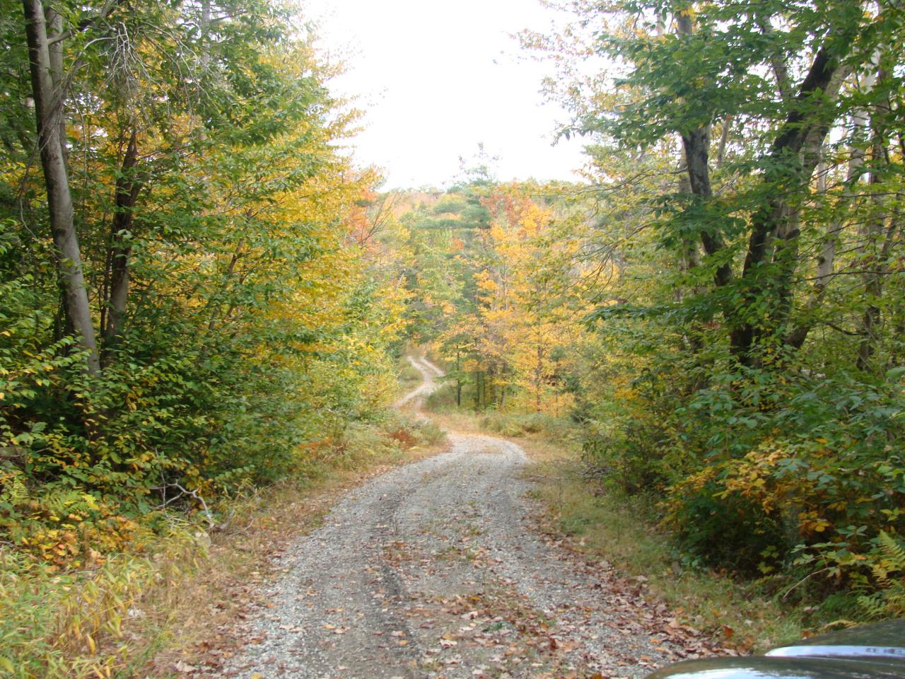 0 Clubhouse Road Tolland, MA 01034 - Photo 2 of 27 a view of a yard with a tree
