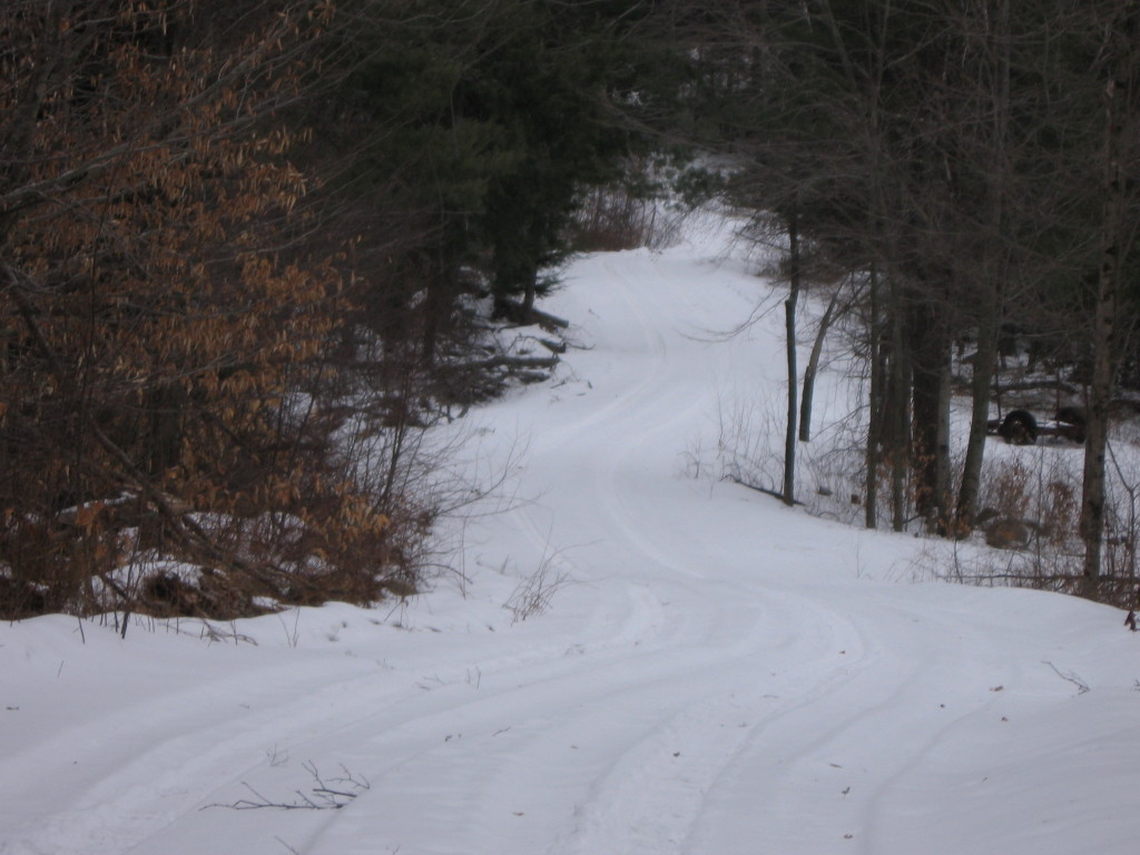 0 Clubhouse Road Tolland, MA 01034 - Photo 11 of 27 a view of a dirt road with trees