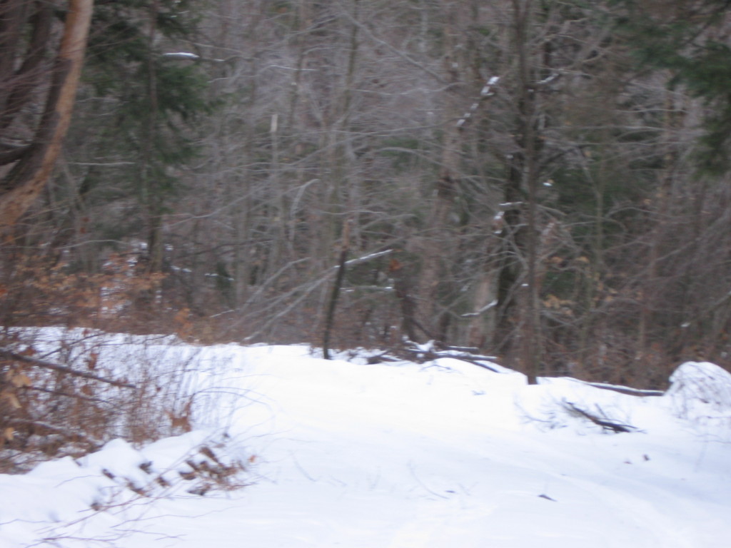 0 Clubhouse Road Tolland, MA 01034 - Photo 12 of 27 a view of wooden fence of a house